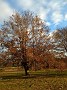 IMG_20181117_153914180