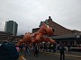 IMG_20181118_131559600
