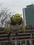 IMG_20181118_132004597