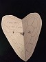 IMG_20180207_182002913