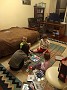IMG_20180224_185119040