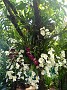 IMG_20180331_121505286