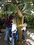 IMG_20180331_122319343