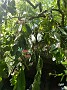 IMG_20180331_122634580_HDR