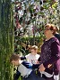 IMG_20180331_125106091_HDR