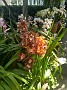 IMG_20180331_125331812_HDR