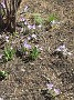 IMG_20180331_130436546