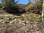 IMG_20180331_131546905