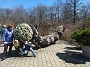 IMG_20180331_132505711