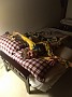 IMG_20180402_220506812