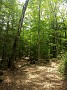 IMG_20180526_125805634
