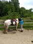 IMG_20180526_131917146
