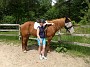 IMG_20180526_132027687