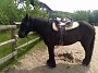 IMG_20180526_132309848