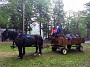 IMG_20180527_194410997