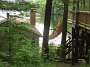 IMG_7368