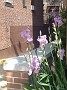 IMG_20180515_110605646