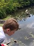 IMG_20180520_125958754