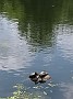 IMG_20180520_130243078