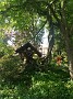IMG_20180525_104205256