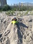 IMG_20180525_164802892