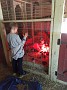 IMG_20190527_104246448