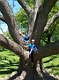 IMG_20190511_132957999