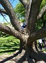 IMG_20190511_133137069