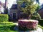 IMG_20190516_092229690