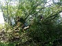 IMG_20190518_154909065