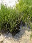 IMG_20190519_153952982