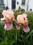 IMG_20190524_152606612