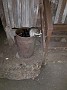 IMG_20190702_234624