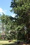 DSC04344