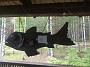 IMG_20190705_164439837