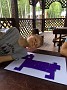 IMG_20190713_144218244