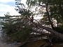 IMG_20190713_190454206
