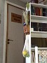 IMG_20190716_095525226