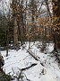 IMG_20181229_120152072
