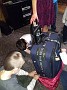 IMG_20181231_201846254