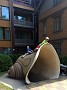 IMG_20190726_123751885