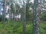 IMG_20190726_134859929