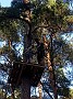 IMG_20190728_181919429