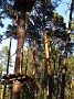 IMG_20190728_182220263