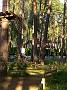 IMG_20190728_182225201