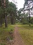 IMG_20190729_122710921