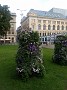IMG_20190729_174102405