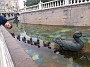 IMG_20190805_172322135