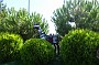 DSC04796