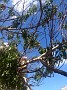 IMG_20190813_160548862
